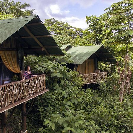 La Tigra Rainforest Lodge La Fortuna Dış mekan fotoğraf