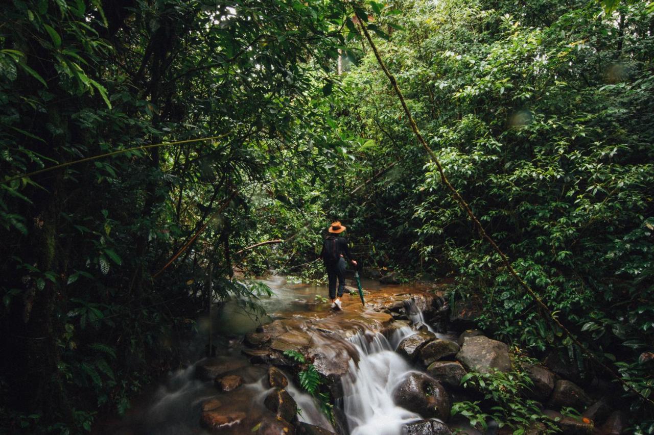 La Tigra Rainforest Lodge La Fortuna Dış mekan fotoğraf