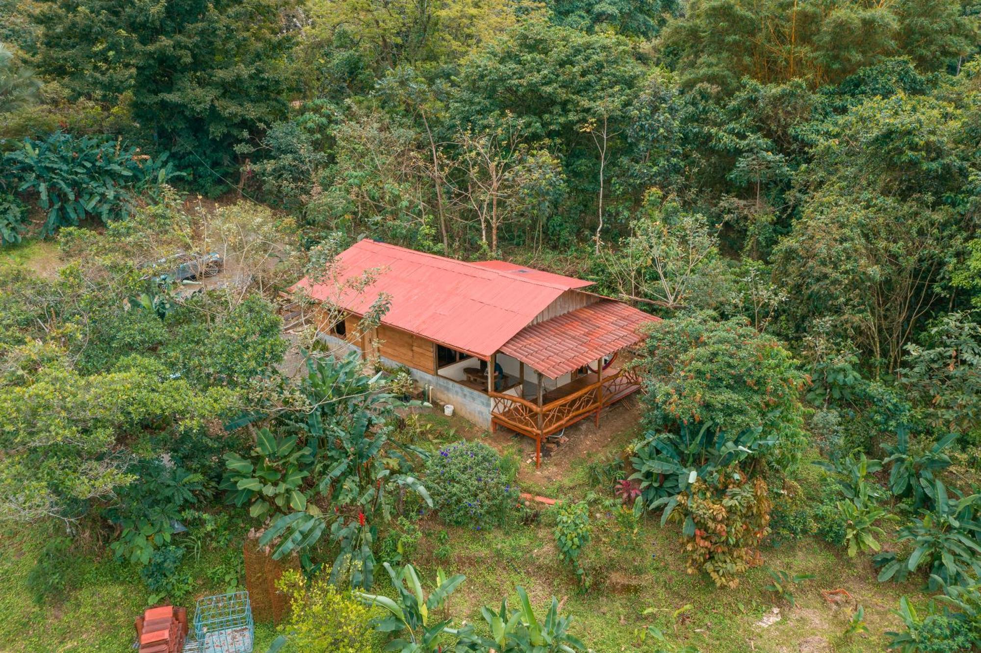 La Tigra Rainforest Lodge La Fortuna Dış mekan fotoğraf