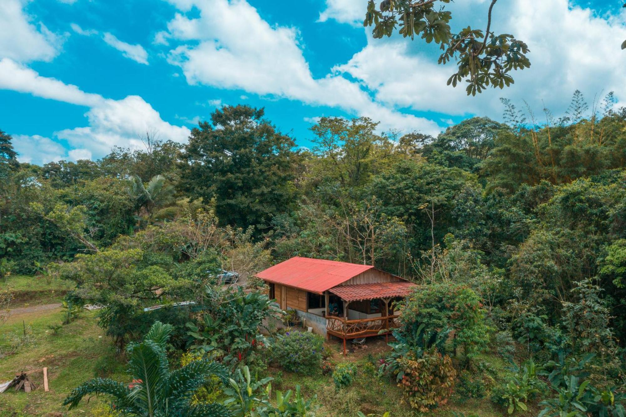 La Tigra Rainforest Lodge La Fortuna Dış mekan fotoğraf