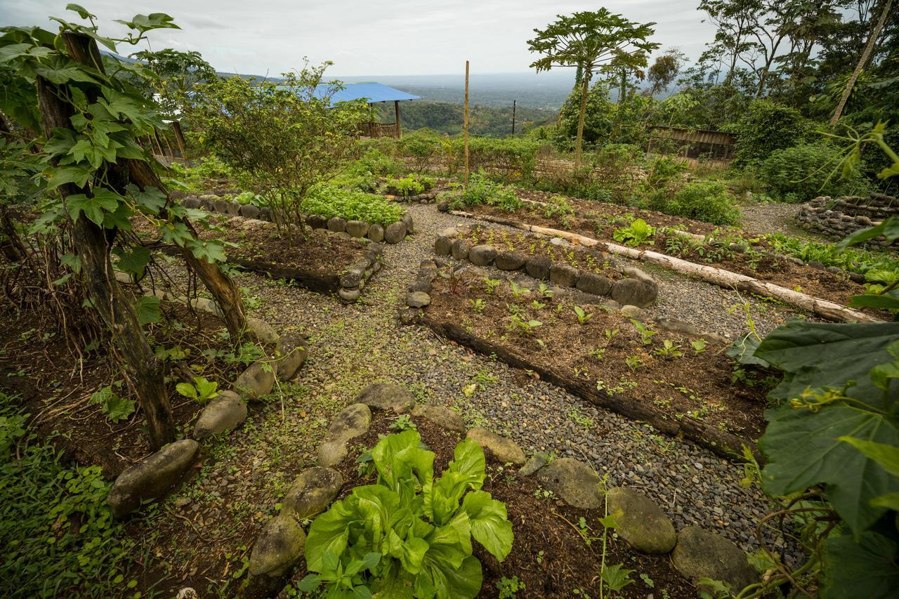 La Tigra Rainforest Lodge La Fortuna Dış mekan fotoğraf