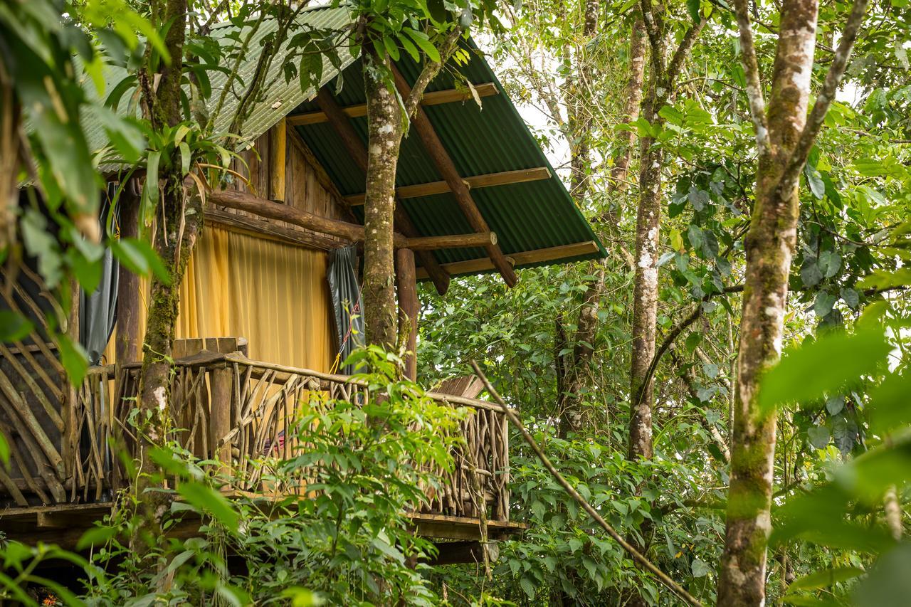 La Tigra Rainforest Lodge La Fortuna Dış mekan fotoğraf